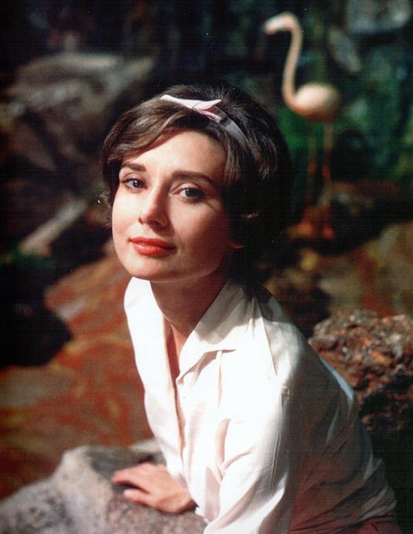 Audrey Hepburn