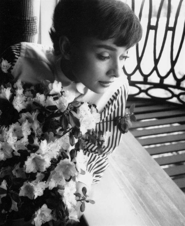 Audrey Hepburn