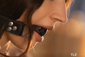 Candie Luciani Nude Pictures Lust Between Pages 1