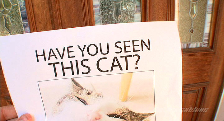 ASian babe Asia Zo fucked hard receives faceful of jizz