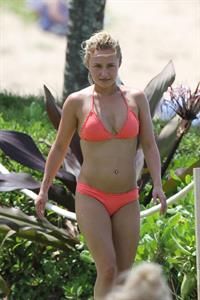 Hayden Panettiere in a bikini