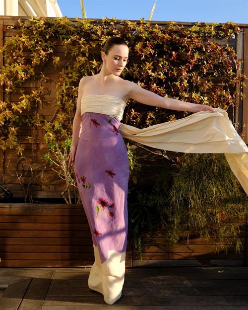 Rachel Brosnahan Pictures Rachel Brosnahan
