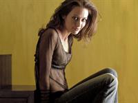 Amy Acker in lingerie