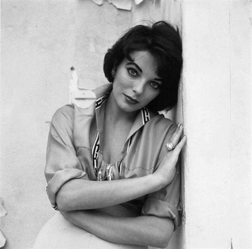 Joan Collins