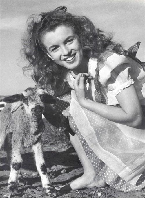 Marilyn Monroe