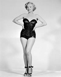 Marilyn Monroe in lingerie