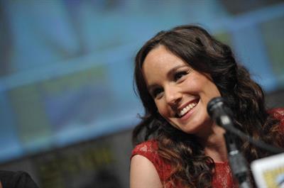 Sarah Wayne Callies
