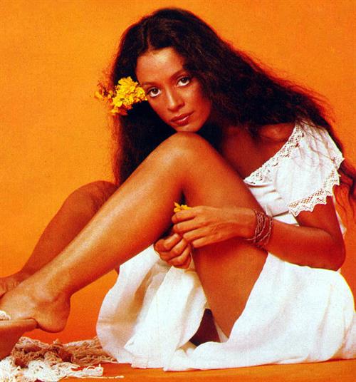 Sonia Braga