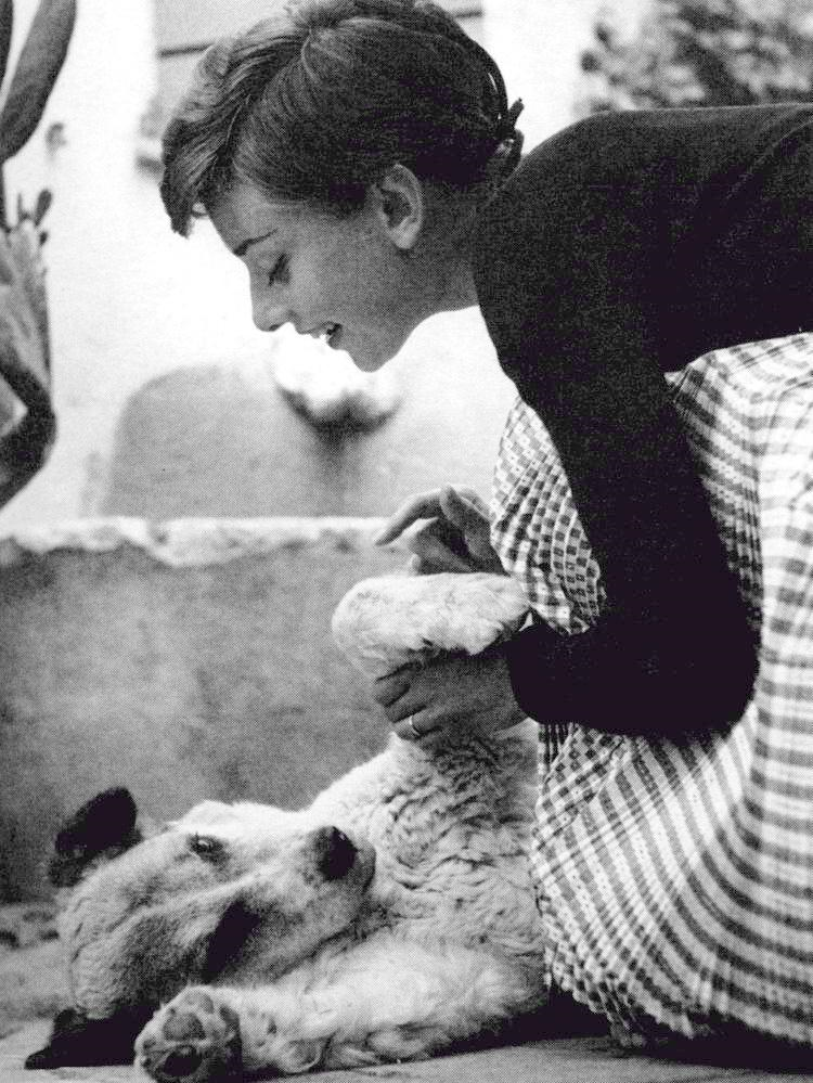 audrey-hepburn